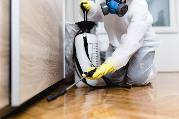 Best Local Pest Control Services  in Wadesboro, NC