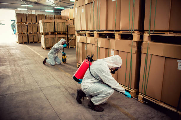 Best Pest Removal Services  in Wadesboro, NC