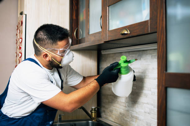 Best Cockroach Control Services  in Wadesboro, NC