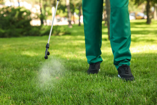 Best Local Pest Control Services  in Wadesboro, NC