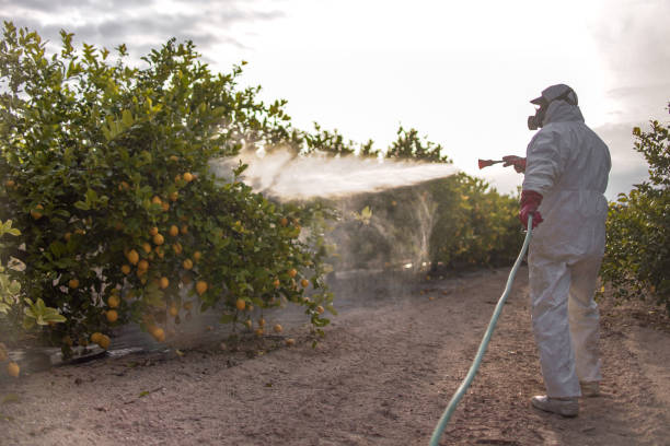 Best Ant Control Services  in Wadesboro, NC