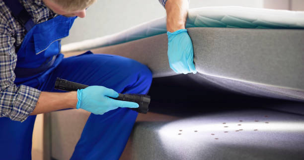 Best Residential Pest Control  in Wadesboro, NC