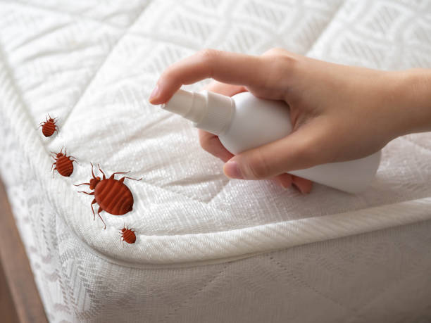 Wadesboro, NC Pest Control Company