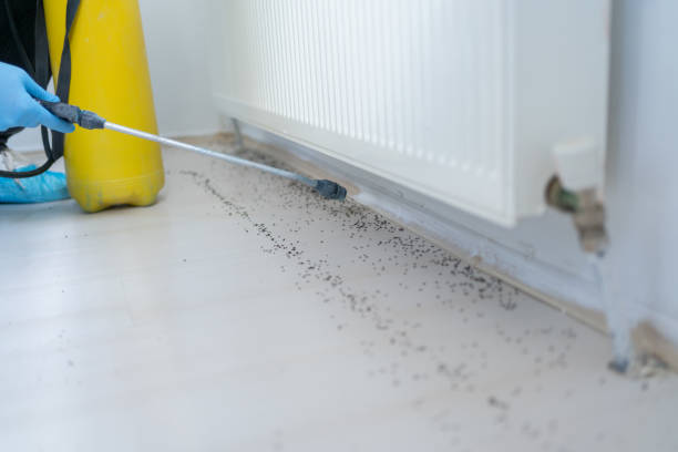 Best Mosquito Control Services  in Wadesboro, NC