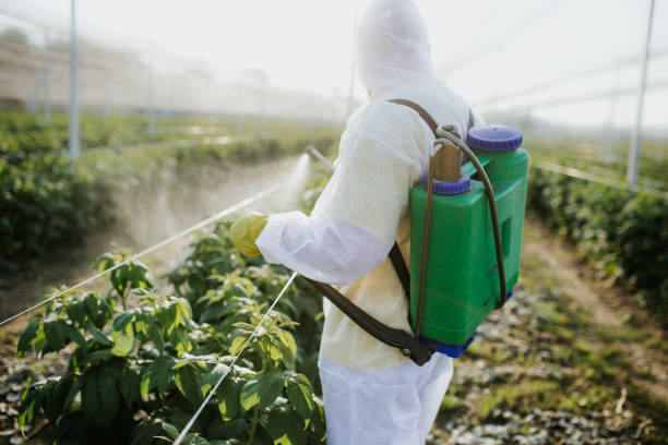 Best Affordable Pest Control Services  in Wadesboro, NC